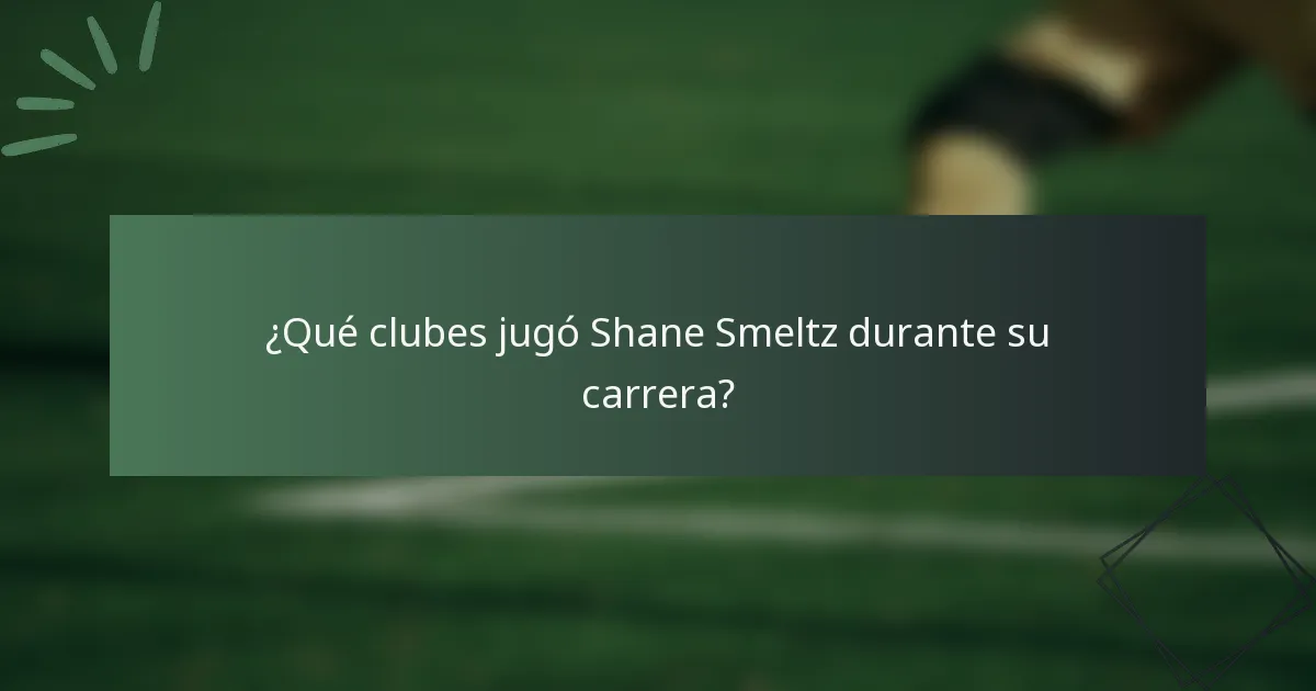 ¿Qué clubes jugó Shane Smeltz durante su carrera?